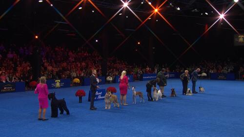 体育商业联盟管理